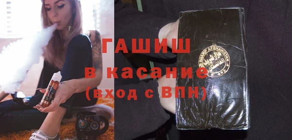 гашик Алексин