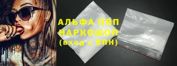 гашик Алексин