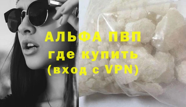 гашик Алексин