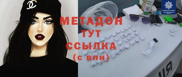 гашик Алексин
