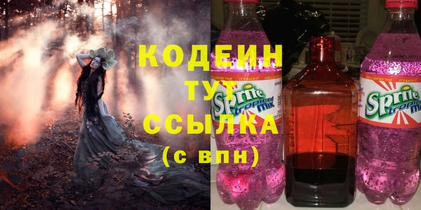 гашик Алексин