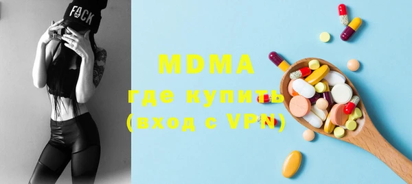 гашик Алексин