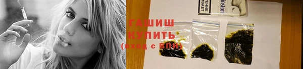гашик Алексин