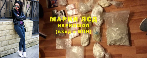 гашик Алексин