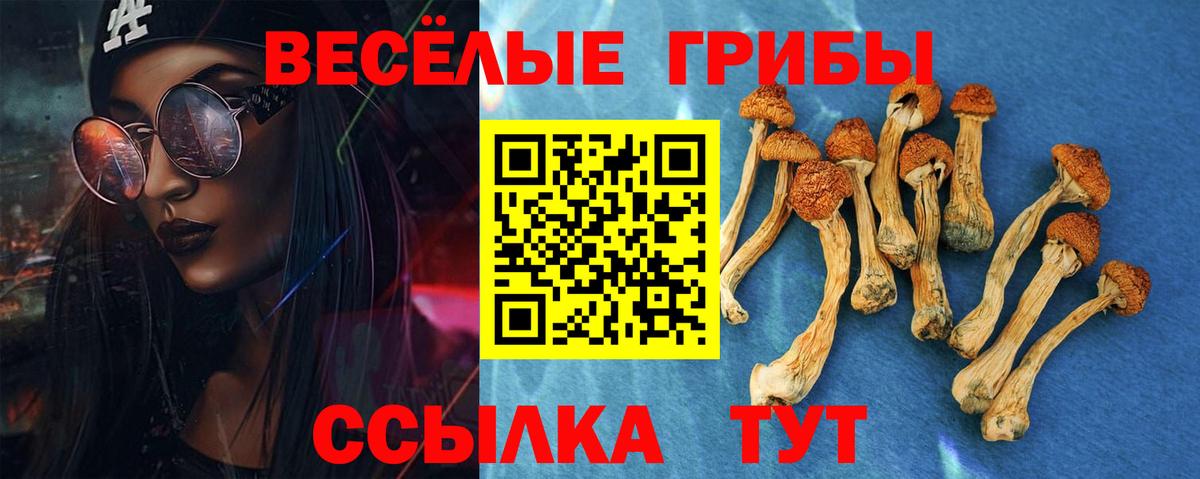 Углич  наркота  Вход с VPN  Галлюциногенные грибы Psilocybine cubensis 